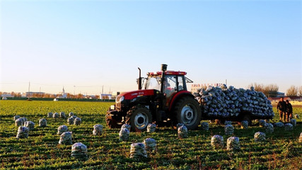 全民真香节再度重补农产品 拼多多百亿补贴覆盖超3万款初级农产品