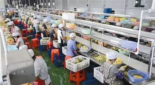 扎心了！谁说农产品深加工只能做吃喝？日本已经‘玩出花’了！