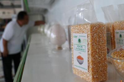 唱支幸福歌给党听②|袁振强 少说多干，南堤“蝶变”初级农产品