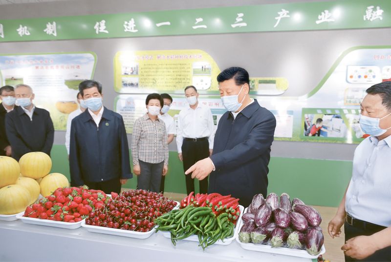 不断开拓当代中国马克思主义政治经济学新境界——以初级农产品为视角的实践与探索