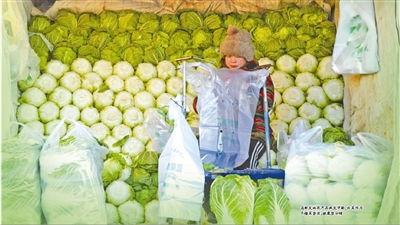 囤菜轻量化，仪式不打折 京城各大商超迎来冬储菜季新气象