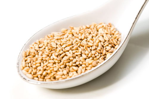 高效进口芝麻 专业清关报关是初级农产品贸易的关键