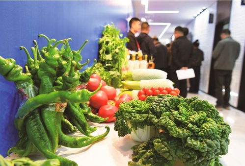 高原明珠 绿色珍品 西宁冷凉蔬菜与西宁草莓品牌隆重发布