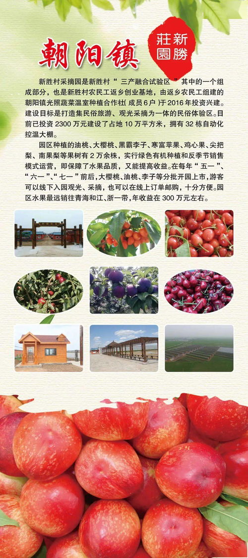 赶大集喽！辉南乡镇特色农产品进县城，助力乡村振兴