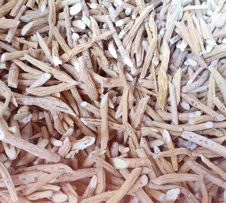 苍术与茅苍术 精选初级农产品，散装批发新货包邮